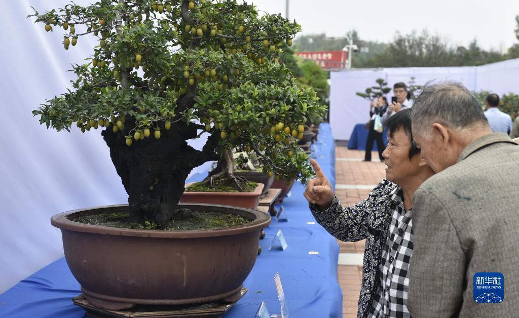 u发国际